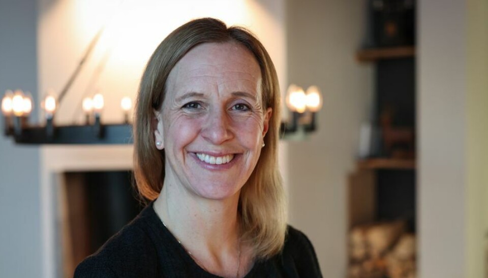 Anna Nord Bjercke er valgt inn som nytt styremedlem i bilkonsernet Bertel O. Steen.