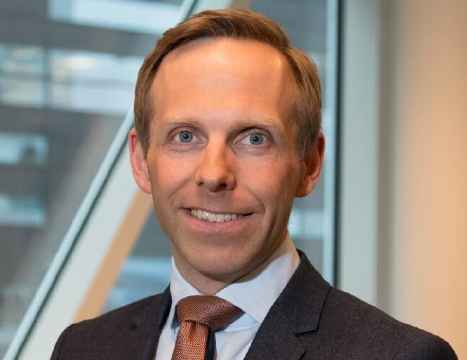 Anders Magnus Løken, Deloitte