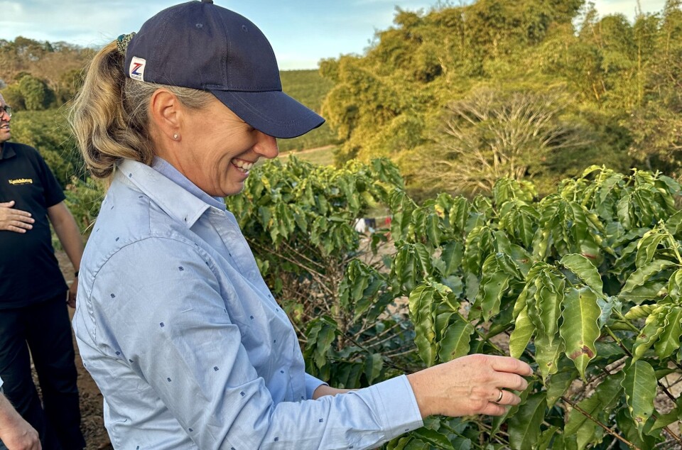 Vi har vi gjort aktsomhetsvurderinger til en naturlig del av hvordan vi kjøper inn varer, sier Christina Fuglesang, leder for ansvarlig handel i REMA 1000 Norge. Her på inspeksjon hos underleverandører i Brasil.