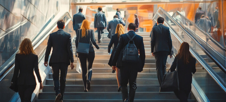 FINN vs NAV om ledige stillinger innen økonomistyring