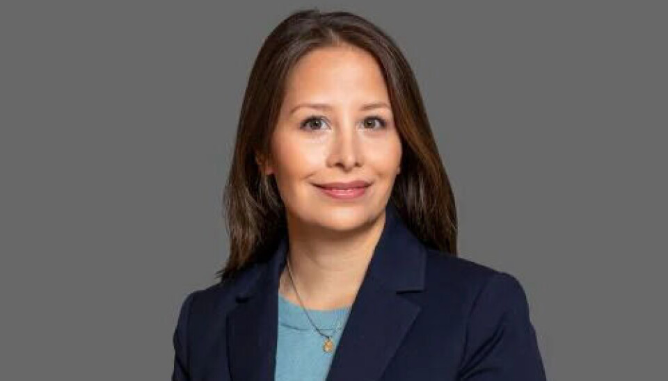 Carmen Larissa Cornejo er Director i PwC Norges avdeling for Deals – Valuation & Analytics.