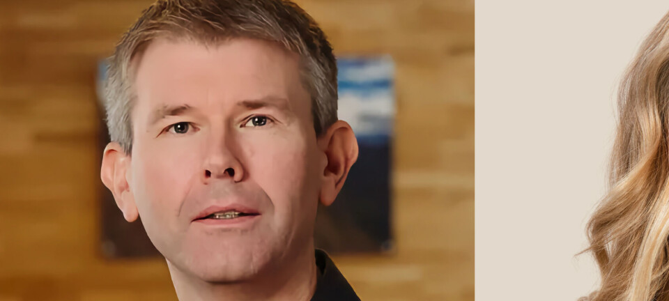 Problemene fortsetter for frustrerte regnskapsførere