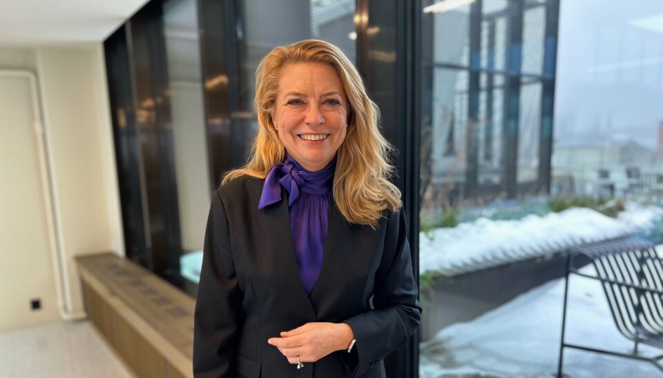 Nina Rafen, EY Nina Rafen i EY