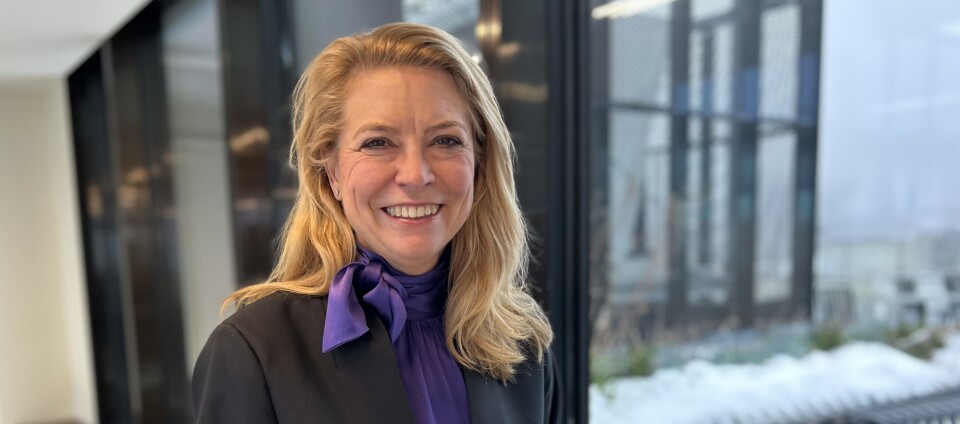 – Vi ser at selskapene til sin bærekraftsrapportering trenger en mer omfattende vurdering av, og informasjon fra, andre deler av virksomheten enn det man er vant til fra finansiell rapportering, sier Nina Rafen, partner og leder for Climate Change and Sustainability Services i EY.
