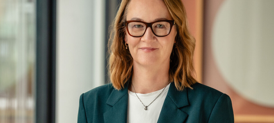 – VSME er for lett for de som virkelig påvirker