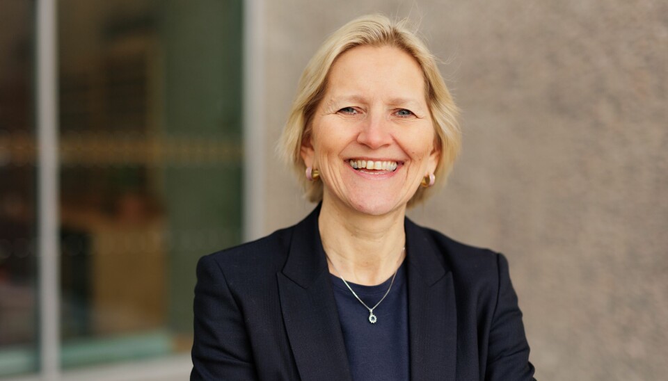 Adm. direktør Karen Kvalevåg i Revisorforeningen er godt fornøyd med at flere kvinner klatrer stadig høyere på karrierestigen i revisjonsbransjens største aktører.