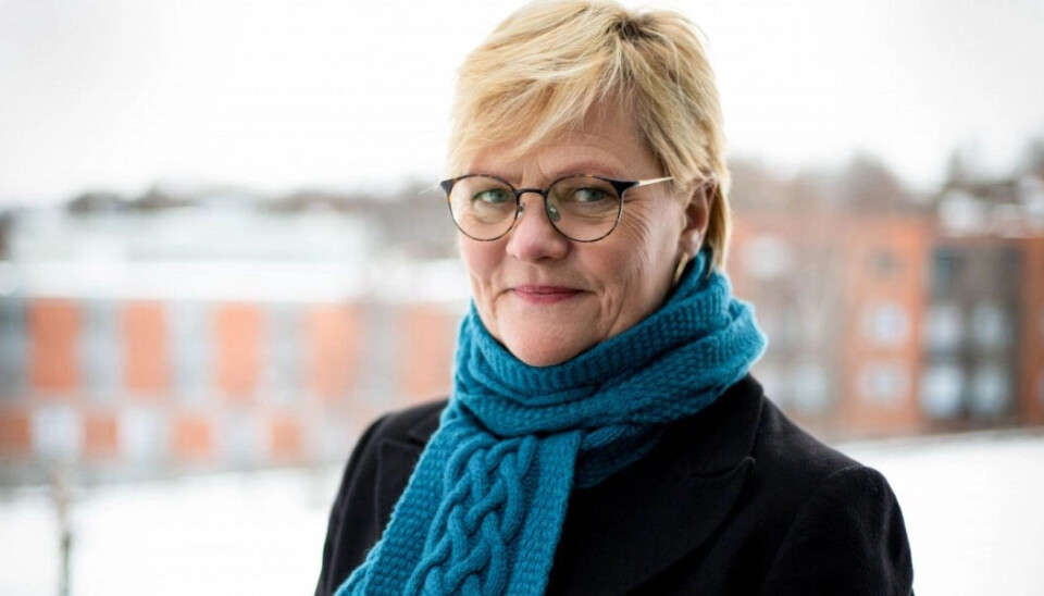 Cicero-direktør Kristin Halvorsen erkjenner at det norske forbruksnivået ikke er bærekraftig.