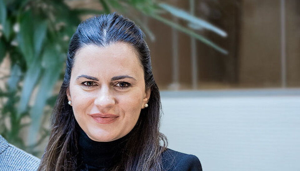 Dana Surkovic er ny økonomisjef i entreprenørselskapet Siero AS. Hun kommer fra stilling som Business Controller og regnskapsfører i SafeBase.
