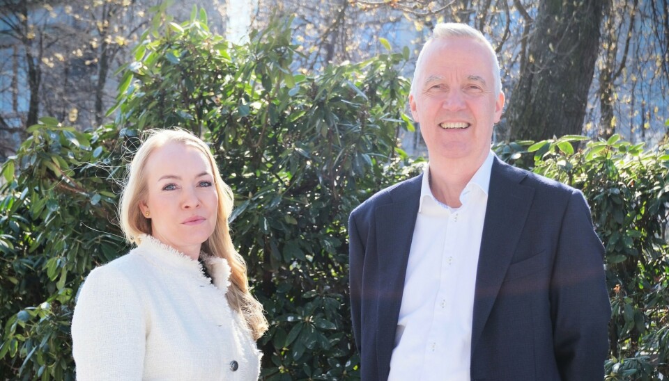 Hvilken fordelingsmodell for mva som til slutt velges, kan få svært ulikt utslag for forskjellige selskaper, sier advokatene Cathrine Lund og Trond Ingebrigtsen i Aider.