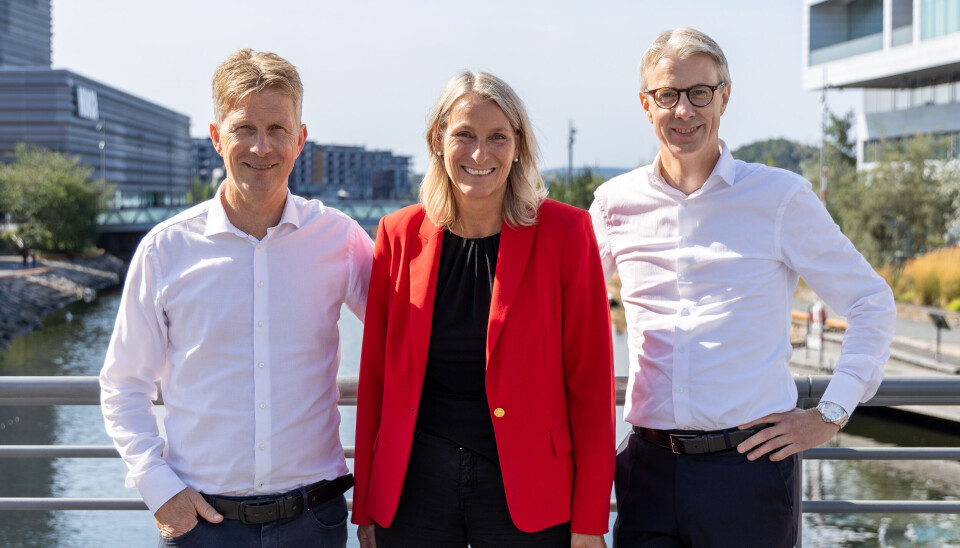 KPMG-sjef Rune Skjelvan, Cathrine Bjerke Dalheim (Managing Partner, Law) og Anfinn Fardal (fung. Head of Audit) spinner nå ut småkontorene, og er allerede i gang med å finne en kjøper til denne delen av virksomheten.