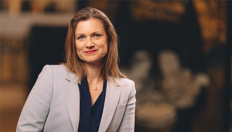 Christine Lundberg Larsen er managing director i Amesto Footprint.