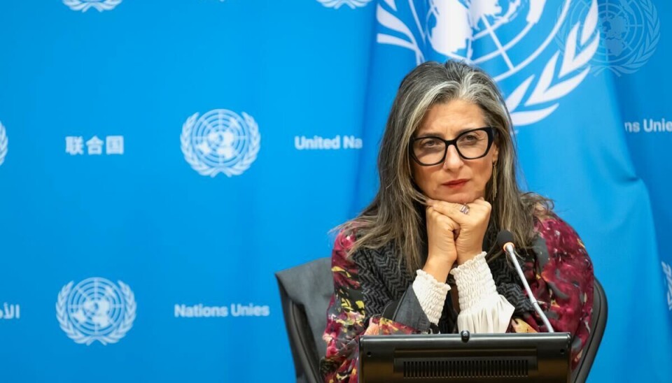 FNs spesialrapportør for menneskerettighetssituasjonen i de okkuperte palestinske områdene, Fransesca Albanese, har kartlagt bedrifter som direkte og indirekte er involvert i israelske aktiviteter på i okkuperte områder.