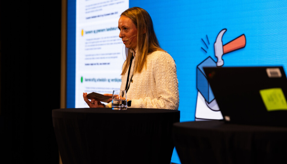 Konsernregnskapssjef Mimi Kristine Sogn Østreng i NorgesGruppen