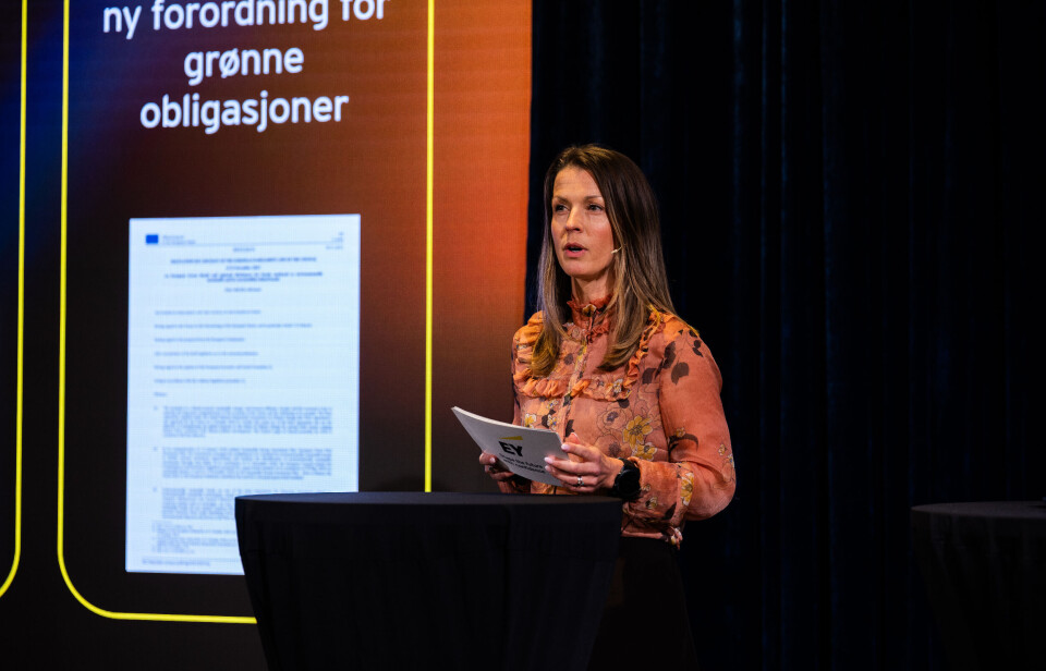 EY ser store muligheter med grønne obligasjoner i kapitalmarkedet