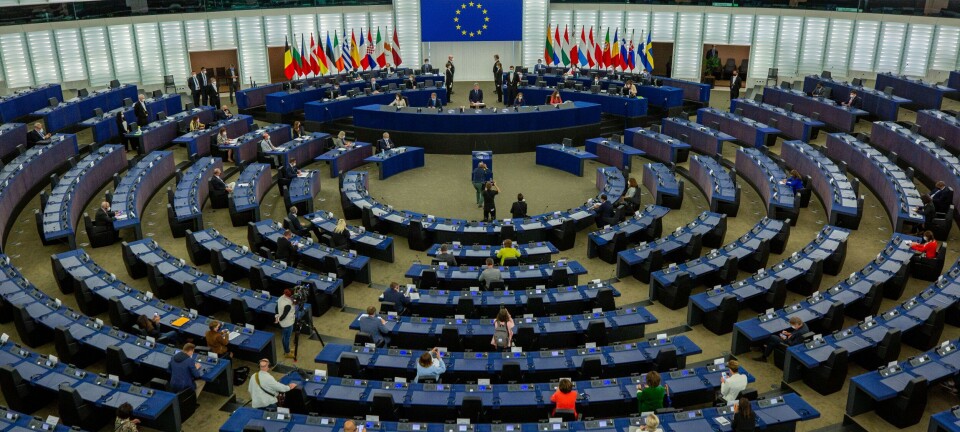 Ni spørsmål hver EU-parlamentariker bør stille seg før avstemningen om Warborns «omnibus»-forslag