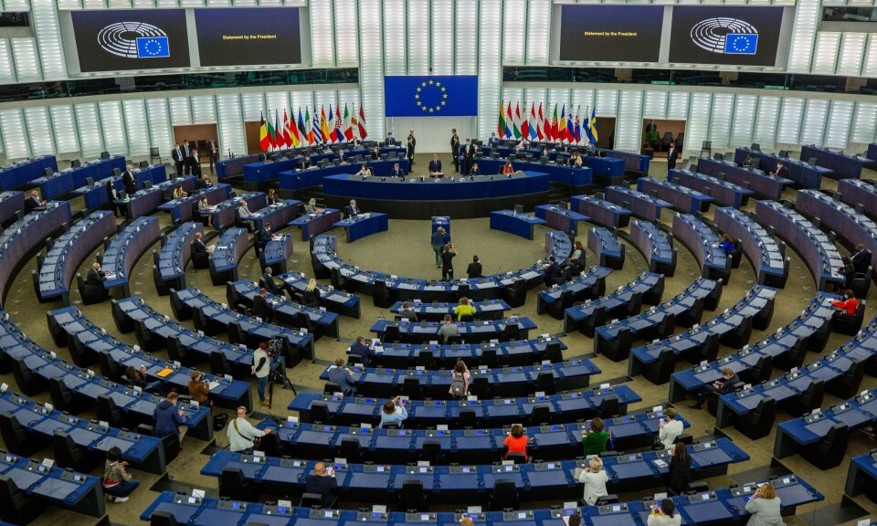Ni spørsmål før EU stemmer over Warborns «omnibus»-forslag