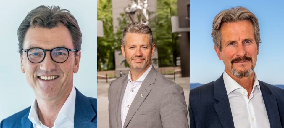 Dette er oppkjøpskandidatene som Azets, Cedra og Tell sikler etter