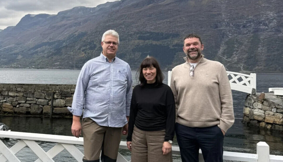 F.v. Kjell Ulvatn i Hagel, Elisabeth Eide i Aider og Trond Vetås i Hagel