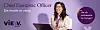 Chief Fantastic Officer – VIEW Group
